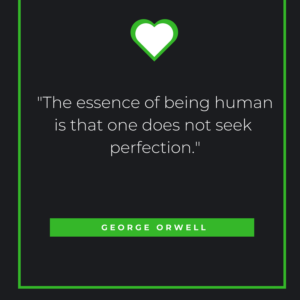 The essence of being human is that one does not seek perfection. George Orwell