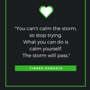 You can’t calm the storm, so stop trying. What you can do is calm yourself. The storm will pass.—Timber Hawkeye