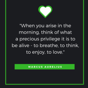 When you arise in the morning, think of what a precious privilege it is to be alive - to breathe, to think, to enjoy, to love. Marcus Aurelius