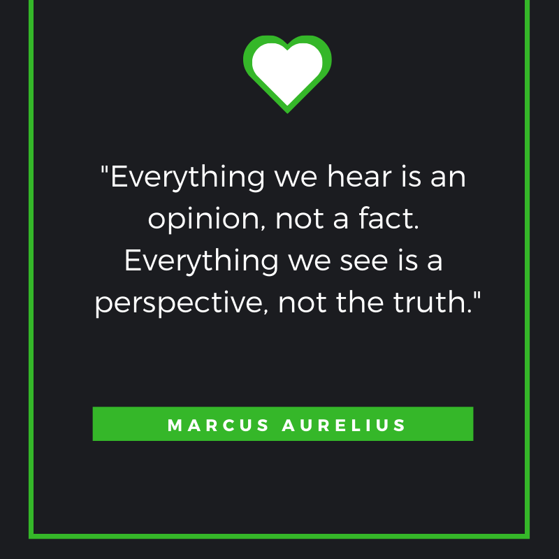 Everything we hear is an opinion, not a fact. Everything we see is a perspective, not the truth. Marcus Aurelius 