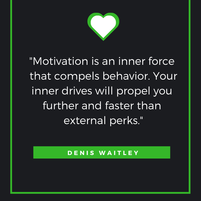 Motivation is an inner force that compels behavior. Your inner drives will propel you further and faster than external perks. Denis Waitley